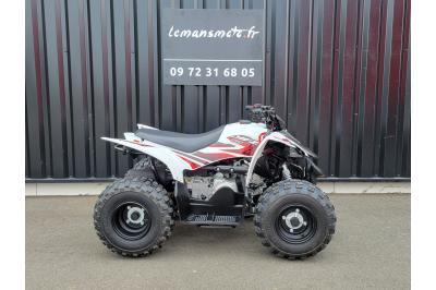 YAMAHA YFZ 50